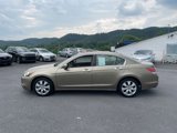 Used 2008 Honda Accord EX-L image 5
