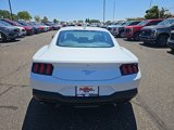 New 2024 Ford Mustang Coupe image 4