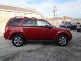 Used 2010 Ford Escape XLT image 3