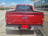 Certified 2022 Ford F150 XLT w/ Equipment Group 302A High image 4