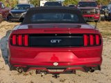 Used 2016 Ford Mustang GT Premium w/ Equipment Group 401A image 5