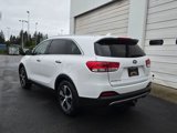 Used 2017 Kia Sorento EX w/ EX Advanced Touring Package image 3