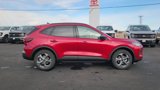 New 2025 Ford Escape ST-Line w/ Tech Pack #1 image 2