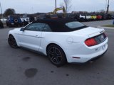 Certified 2022 Ford Mustang Premium image 5