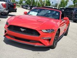 Certified 2022 Ford Mustang Premium image 3