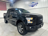 Used 2015 Ford F150 XLT w/ Equipment Group 302A Luxury image 3