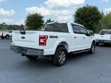 Certified 2020 Ford F150 XLT w/ Equipment Group 301A Mid image 4