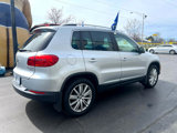 Used 2013 Volkswagen Tiguan SE image 5