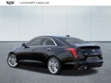 New 2025 Cadillac CT4 Premium Luxury image 3