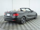 Used 2020 BMW 230i Convertible w/ Convenience Package image 5