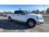 Used 2014 Ford F150 XLT w/ Equipment Group 302A Luxury image 2