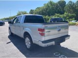 Used 2011 Ford F150 Platinum image 4