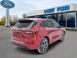 Used 2023 Ford Escape ST-Line Select w/ Tech Pack #1 image 3