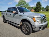 Used 2012 Ford F150 XLT w/ XLT Convenience Pkg image 4
