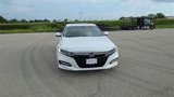 Used 2019 Honda Accord EX-L image 2