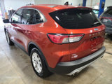 Used 2020 Ford Escape SE image 6