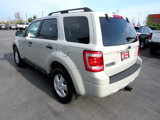 Used 2009 Ford Escape XLT image 3