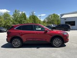New 2025 Ford Escape SE image 4