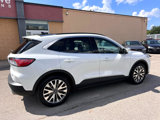 Used 2020 Ford Escape Titanium image 4