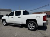 Used 2009 Chevrolet Silverado 1500 LT w/ All Star Package image 5