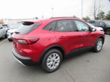 New 2025 Ford Escape Active w/ Cold Weather Package image 4