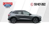 Used 2022 Ford Escape SEL w/ SEL Stealth AWD Package image 6