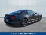 Certified 2022 Ford Mustang Premium image 5