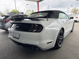 Used 2020 Ford Mustang GT Premium image 6