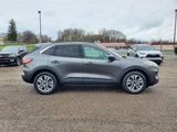 Used 2020 Ford Escape SEL image 4