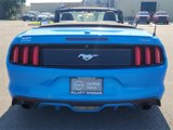 Used 2017 Ford Mustang Premium image 4