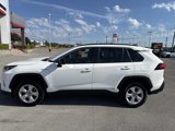 Used 2019 Toyota RAV4 LE w/ Carpet Mat Package image 6