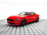 Used 2019 Ford Mustang GT Premium w/ Equipment Group 401A image 3