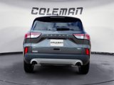 Used 2020 Ford Escape SE image 4