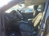 New 2025 Ford Escape Active w/ Cold Weather Package image 6