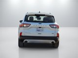 Used 2020 Ford Escape Titanium image 6