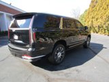 Used 2021 Cadillac Escalade ESV Premium Luxury Platinum w/ LPO, Floor Liner Package image 5