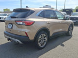 Used 2020 Ford Escape SEL image 4