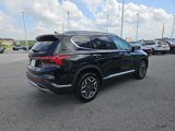Used 2023 Hyundai Santa Fe Limited image 5