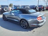 Certified 2022 Ford Mustang Premium image 5