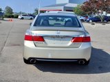 Used 2013 Honda Accord Sport image 5