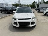 Used 2013 Ford Escape Titanium w/ Parking Technology Pkg image 3