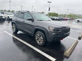 Used 2019 Jeep Cherokee Trailhawk w/ Cold Weather Group image 2