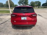 New 2024 Ford Escape ST-Line w/ Equipment Group 301A image 4