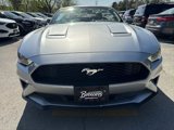 Used 2020 Ford Mustang Premium w/ Equipment Group 201A image 2