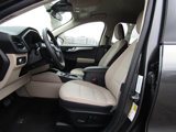 Used 2020 Ford Escape SE image 6