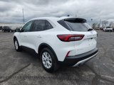 Used 2024 Ford Escape Active image 2