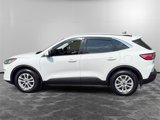Used 2021 Ford Escape SE image 2