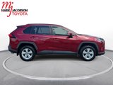 Used 2020 Toyota RAV4 XLE image 4