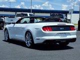 Used 2019 Ford Mustang GT Premium w/ Equipment Group 401A image 4