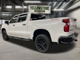 New 2025 Chevrolet Silverado 1500 Custom Trail Boss w/ Turbomax Blackout Package image 2